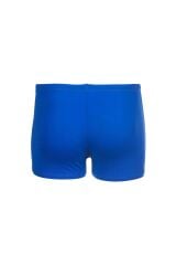 Bright Swim Short Yüzücü Mayosu 006721803