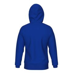 TEAM HOODED SWEAT PANEL UNUSEX KAPŞONLU